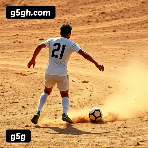 Níveis do programa VIP da g5g